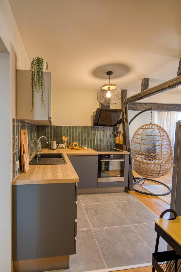 Appartement Le Verdoyant Hyper Centre Avec Sauna Et Parking Colmar Bagian luar foto