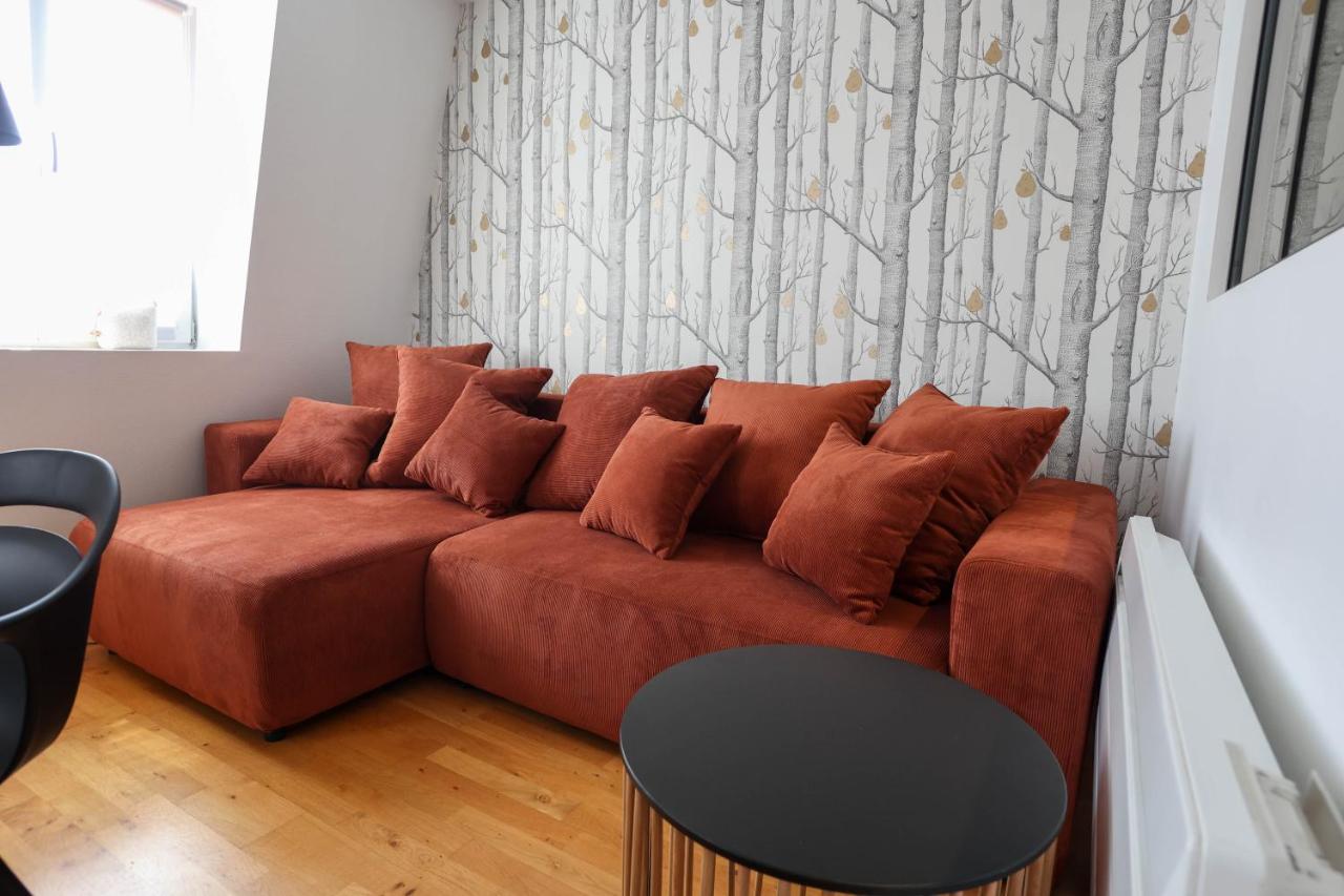 Appartement Le Verdoyant Hyper Centre Avec Sauna Et Parking Colmar Bagian luar foto