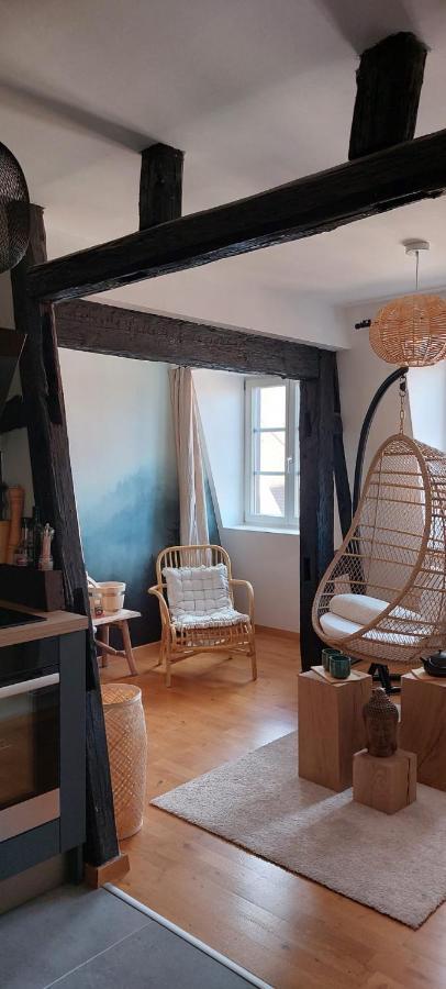 Appartement Le Verdoyant Hyper Centre Avec Sauna Et Parking Colmar Bagian luar foto
